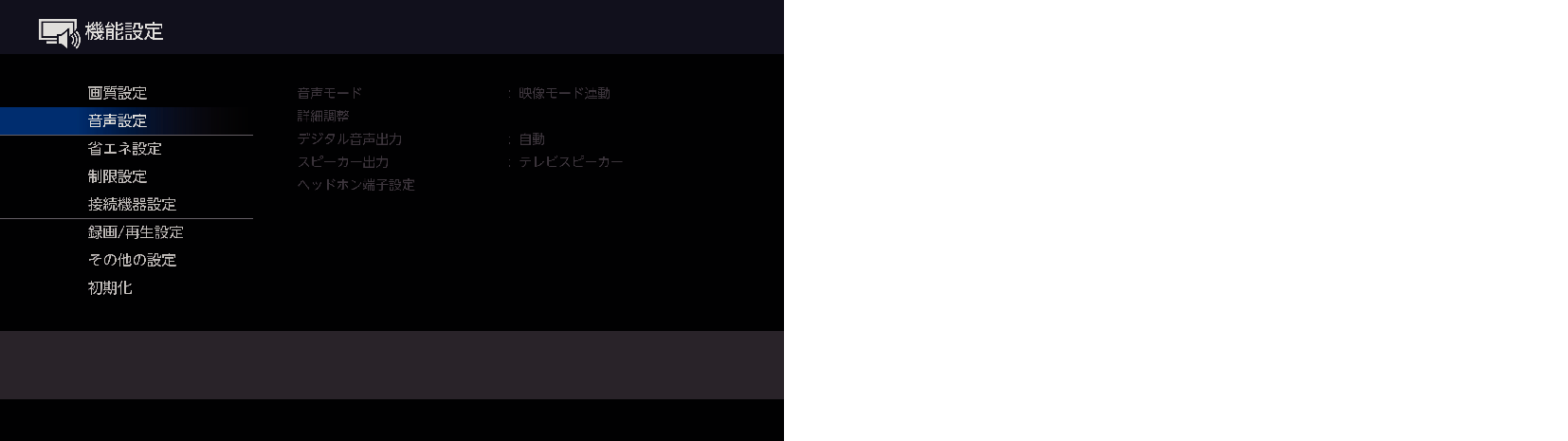 OSD_Audio setting_7020